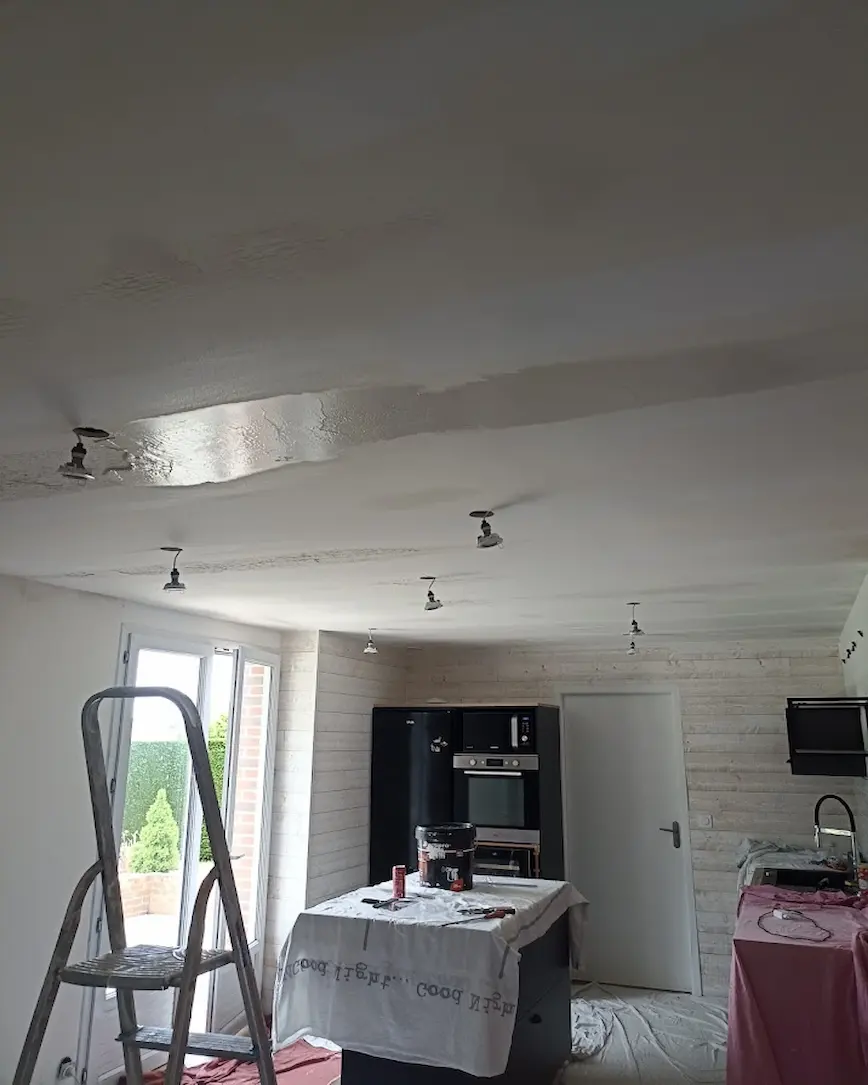 IMG_20250512_140611 IMG_20250512_140611